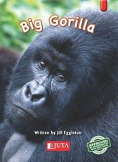 Big Gorilla: Gr 1 Higher level - Red