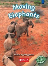 Moving elephants: Higher level - Blue: Gr 2