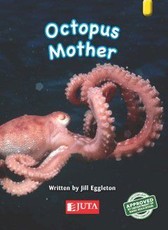 Octopus Mothers: Gr 2 Lower level - Yellow