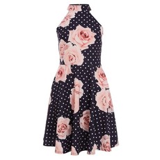 Quiz Ladies Floral Skater Dress - Navy