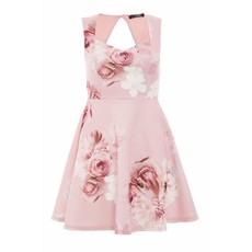 Quiz Ladies Petite Pink Floral Skater Dress