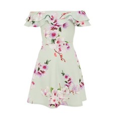 Quiz Ladies Petite Sage Floral Skater Dress