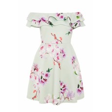 Quiz Ladies Sage Floral Skater Dress