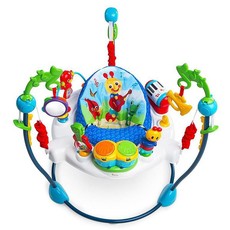 Baby Einstein Neighborhood Symphony Activity Jumper