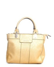 Parco Collection L.T Gold Handbag