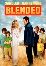 Blended (DVD)