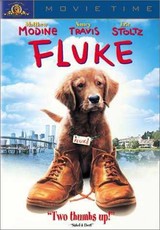 Fluke - (DVD)