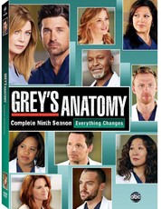 Grey's Anatomy Complete Season 9 (DVD)