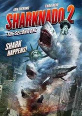 Ian Ziering - Sharknado 2: Second One (DVD)