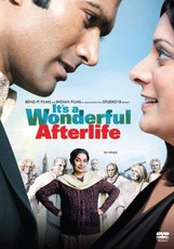 It's a wonderful afterlife (DVD)