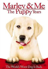 Marley & Me: The Puppy Years (2011)(DVD)