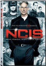 NCIS: Season 14 (DVD)