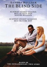 The Blind Side (2009) (DVD)