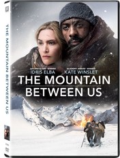 The Mountain Between Us (DVD)