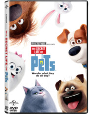 The Secret Life of Pets (DVD)