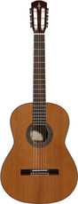 Alvarez AC65 Artist Series Classical Guitar (Natural)