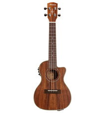 Alvarez AU90CCE Artist 90 Series Concert Ukulele (Natural)