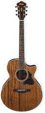 Ibanez AE245-NT AE Series Acoustic Electric Guitar (Natural High Gloss)