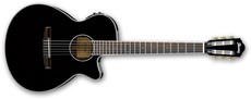 Ibanez AEG10NII-BK AEG Series Nylon Acoustic Electric Guitar (Black)