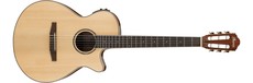 Ibanez AEG10NII-NT AEG Series Classical Nylon Acoustic Electric Guitar (Natural)