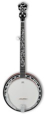 Ibanez B200 Banjo Series 5 String Banjo (Natural)