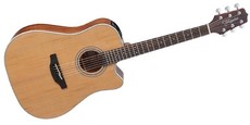 Takamine GD20CE-NS G-Series Dreadnought Acoustic Electric Guitar (Natural)