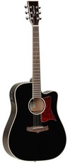 Tanglewood TW5 BK Winterleaf Series Dreadnought Acoustic Electric Guitar (Black)