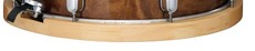 TAMA WMH1408S 14 Inch 8 Hole Maple Wooden Snare Drum Hoop (Snare Side)