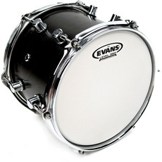 Evans B08G2 8 Inch G2 Coated Tom Batter Drum Head