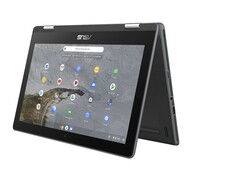 ASUS Chromebook Flip C214 Notebook PC - Celeron N4020 / 11.6" HD Touch / 4GB RAM / 64GB EMMC Drive / Chrome / Grey (C214MA-C464G1C)