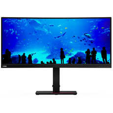 Lenovo ThinkVision T34w-20 34-inch Non-Touch Curved Monitor (61F3GAT1SA)