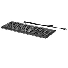 HP USB Keyboard for PC (QY776AAS)