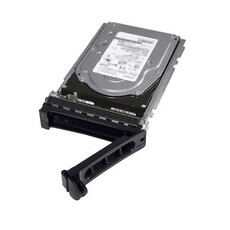 Dell 10TB 7200RPM Near-Line SAS 512e 3.5-inch Hot-Plug Hard Drive (400-ANVL)