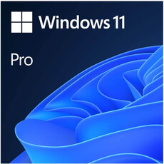 Microsoft Windows 11 Pro ESD (FQC-10572)