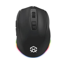 Rogueware GM300 Wired Black Gaming Mouse (RW-GM300)