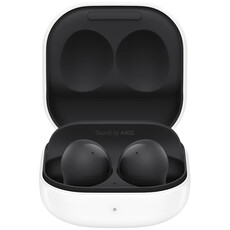 Samsung Galaxy Buds2 Graphite Earbuds (SM-R177NZKAXFA)