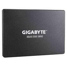 Gigabyte 120 GB 2.5 Inch SATA 6.0Gb/s internal Solid State Drive (GP-SSD120)