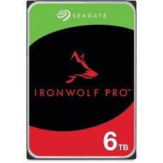 Seagate 6 TB Ironwolf Pro 3.5" NAS Hard Drive (ST6000NT001)