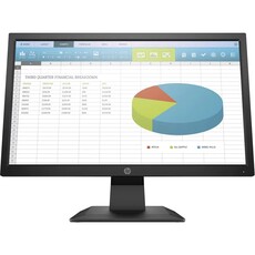 HP P204 19.5-inch HD+ Monitor (5RD65AS)