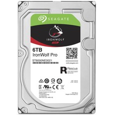 Seagate IronWolf Pro 6TB 3.5-inch NAS Hard Drive (ST6000NE0021)