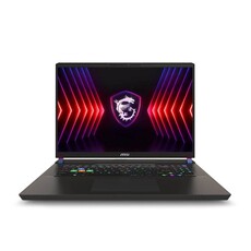 MSI Vector 17 HX A14VHG Gaming Notebook PC - Core i9-14900HX / 17" QHD+ 240Hz / 32GB RAM / 1TB SSD / NVIDIA RTX 4080 12GB / Win 11 Home / Cosmos Grey (A14VHG-832ZA)