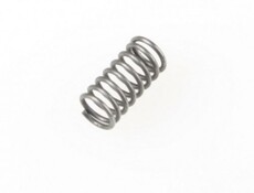 Valve spring magnum fs400ar