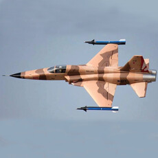 Kit fwing f-5 tiger ii 80mm-12b camo pnp