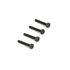 Cap screws dub socket head 2mm x 12 (4)