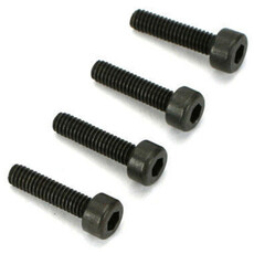 Cap screws dub socket head 2.5mm x 8 (4)