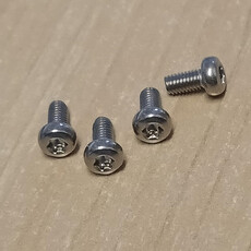 Cap screw m3x6 dome spline head ss (4)