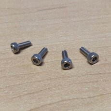 Cap screw m3x8 normal head ss (4)