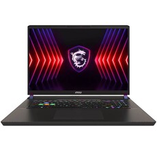 MSI Vector 17 HX A14VHG Gaming Notebook PC - Core i9-14900HX / 17" QHD+ 240Hz / 32GB RAM / 1TB SSD / NVIDIA RTX 4080 12GB / Win 11 Home / Cosmos Grey (A14VHG-829ZA)