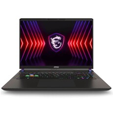 MSI Vector 16 HX A14VGG Gaming Notebook PC - Core i9-14900HX / 16" QHD+ 240Hz / 16GB RAM / 1TB SSD / NVIDIA RTX 4070 8GB / Win 11 Home (A14VGG-427ZA)