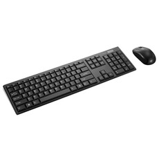 Lenovo 100 USB-A Wireless Keyboard and Mouse Combo (4X31N94475)